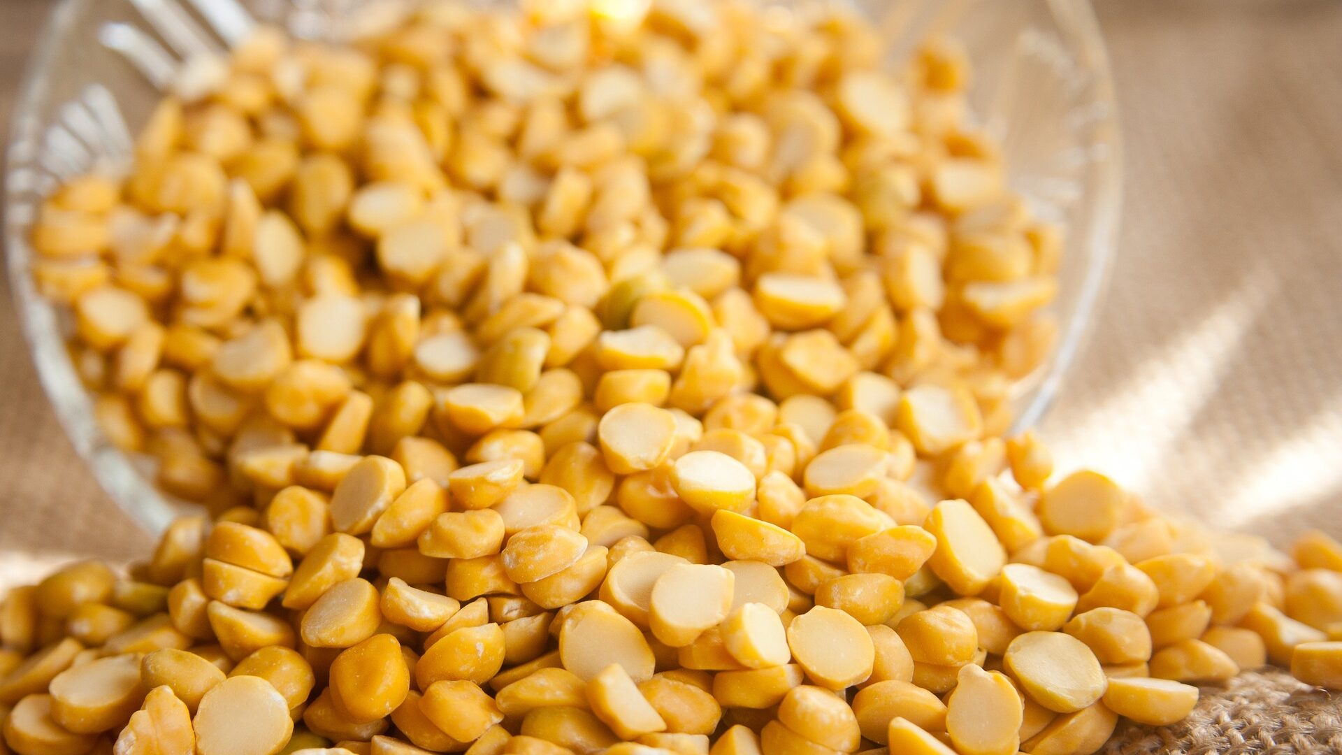 daal-166985_1920